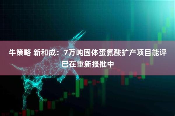 牛策略 新和成：7万吨固体蛋氨酸扩产项目能评已在重新报批中