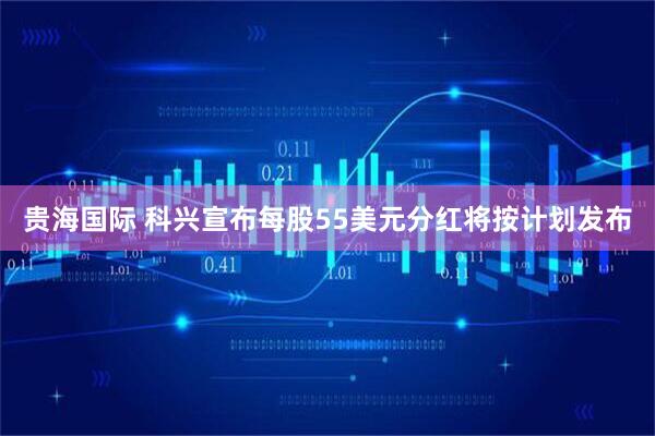 贵海国际 科兴宣布每股55美元分红将按计划发布