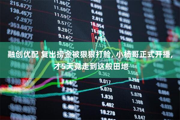 融创优配 复出捞金被狠狠打脸, 小杨哥正式开播, 才5天竟走到这般田地